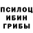 Псилоцибиновые грибы Psilocybe motorrin