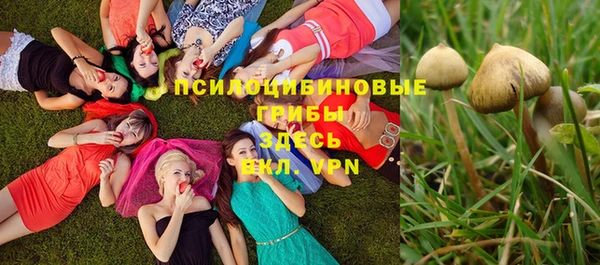 прущие грибы Весьегонск