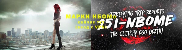 индика Пестово