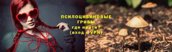 индика Пестово