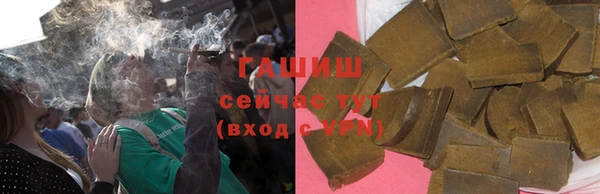 индика Пестово