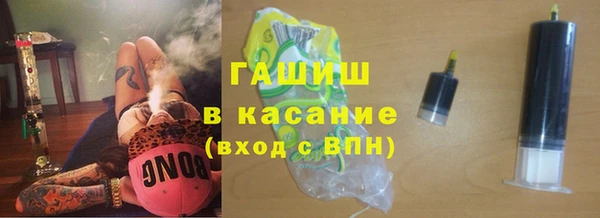 индика Пестово