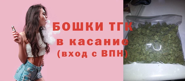 индика Пестово