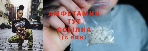 индика Пестово