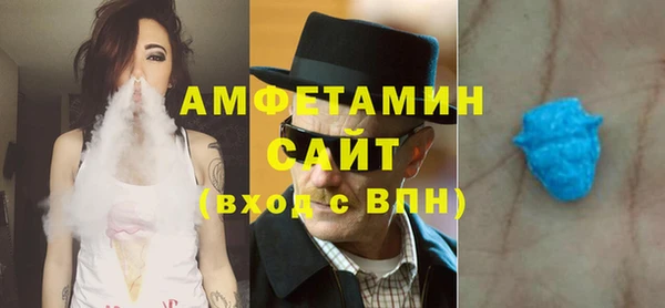 индика Пестово