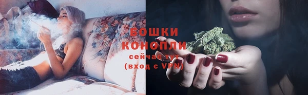 ECSTASY Пересвет