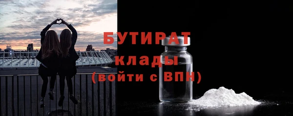 индика Пестово