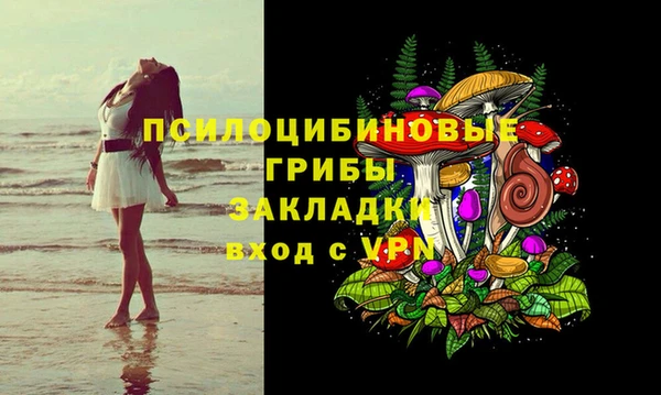 винт Переславль-Залесский