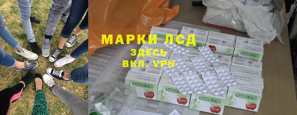 индика Пестово