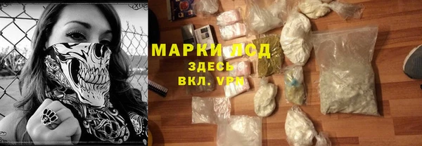 ECSTASY Пересвет