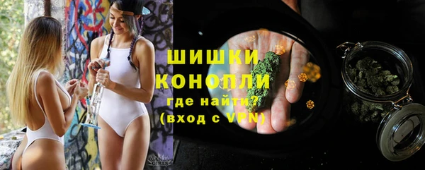 ECSTASY Пересвет